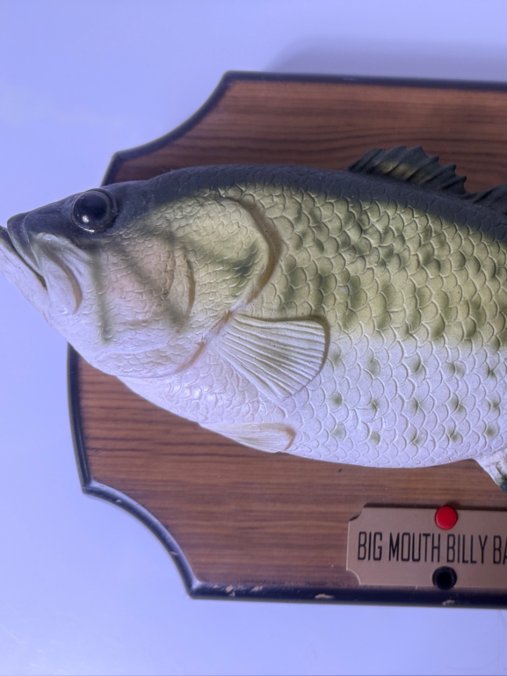 Big Mouth Billy Bass Wall-Mounted Singing Fish - Green
